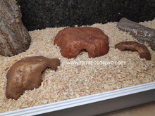 Cargar imagen en el visor de la galería, CUEVA REPTILE CAVE EXO TERRA (6748939845831)