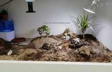 Cargar imagen en el visor de la galería, 120x40x40 (6748944203975)