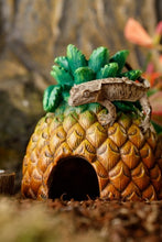 Cargar imagen en el visor de la galería, Cueva Piña