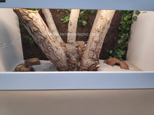 Cargar imagen en el visor de la galería, 120x40x40 (6748944203975)