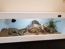 Cargar imagen en el visor de la galería, 100x40x40 (6791377092807)