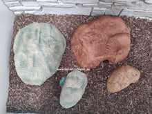 Cargar imagen en el visor de la galería, Cueva para reptiles