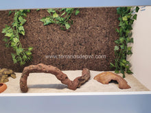 Cargar imagen en el visor de la galería, Fondo decorativo de corcho para terrarios (6748942205127)