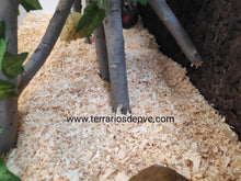 Cargar imagen en el visor de la galería, Sustrato VIRUTA de madera (6748942500039)