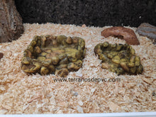 Cargar imagen en el visor de la galería, Bebedero Exo-Terra CORNER (6748941779143)