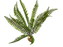 Cargar imagen en el visor de la galería, Planta Helecho 35cm de decoración para terrarios - ReptilHábitat