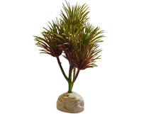 Cargar imagen en el visor de la galería, Planta Kleinia de decoración para terrarios - ReptilHábitat