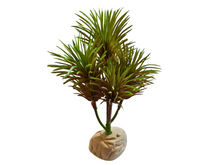 Cargar imagen en el visor de la galería, Planta Kleinia de decoración para terrarios - ReptilHábitat