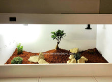 Cargar imagen en el visor de la galería, 60x30x30 (6965689843911)