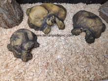 Cargar imagen en el visor de la galería, CUEVA NATURAL HIDING EXO TERRA (6748940009671)
