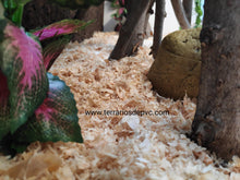 Cargar imagen en el visor de la galería, Sustrato VIRUTA de madera (6748942500039)