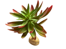 Cargar imagen en el visor de la galería, Planta Capitella de decoración para terrarios - ReptilHábitat