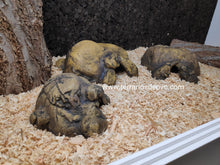 Cargar imagen en el visor de la galería, CUEVA NATURAL HIDING EXO TERRA (6748940009671)