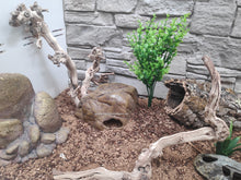 Cargar imagen en el visor de la galería, Planta - 4