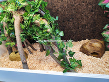 Cargar imagen en el visor de la galería, Sustrato VIRUTA de madera (6748942500039)