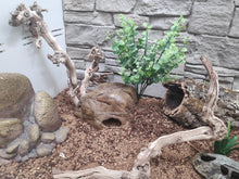 Cargar imagen en el visor de la galería, Planta - 5