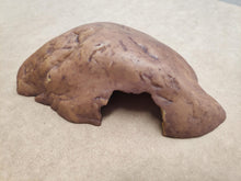 Cargar imagen en el visor de la galería, CUEVA REPTILE CAVE EXO TERRA (6748939845831)