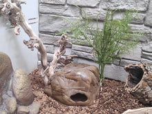 Cargar imagen en el visor de la galería, Planta - 7