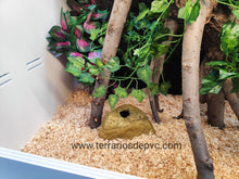 Cargar imagen en el visor de la galería, Sustrato VIRUTA de madera (6748942500039)