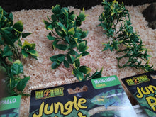 Cargar imagen en el visor de la galería, Plantas - Varios tipos y tamaños (6748943024327)