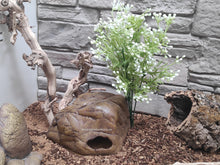Cargar imagen en el visor de la galería, Planta - 8