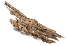 Cargar imagen en el visor de la galería, Tronco Dragon