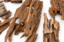 Cargar imagen en el visor de la galería, Tronco Dragon