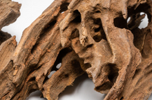 Cargar imagen en el visor de la galería, Tronco Dragon