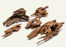 Cargar imagen en el visor de la galería, Tronco Dragon