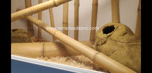 Cargar imagen en el visor de la galería, Caña de bambú (6748943614151)