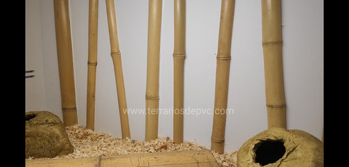 Fondo cañas bambú verticales (6748943810759)
