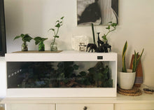 Cargar imagen en el visor de la galería, 100x50x50 (6748939059399)