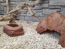 Cargar imagen en el visor de la galería, Sustrato de MAIZ para POGONAS