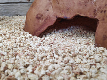 Cargar imagen en el visor de la galería, Sustrato de MAIZ para POGONAS