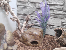 Cargar imagen en el visor de la galería, Planta - 1