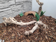 Cargar imagen en el visor de la galería, Sustrato Tropical Forest BARK - Exo Terra