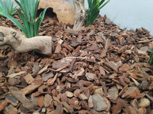 Cargar imagen en el visor de la galería, Sustrato Tropical Forest BARK - Exo Terra