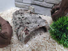 Cargar imagen en el visor de la galería, Cuevas / Cortezas abiertas de corcho