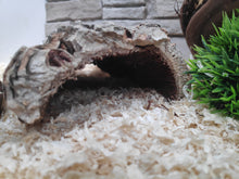 Cargar imagen en el visor de la galería, Cuevas / Cortezas abiertas de corcho