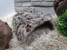 Cargar imagen en el visor de la galería, Cuevas / Cortezas abiertas de corcho