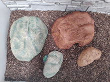 Cargar imagen en el visor de la galería, Cueva para reptiles