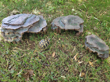 Cargar imagen en el visor de la galería, Cueva para reptiles