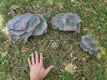 Cargar imagen en el visor de la galería, Cueva para reptiles