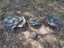 Cargar imagen en el visor de la galería, Cueva para reptiles