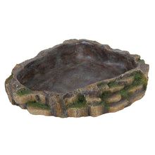 Cargar imagen en el visor de la galería, Bebedero Piscina