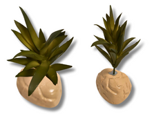 Cargar imagen en el visor de la galería, Planta Suculenta de decoración para terrarios - ReptilHábitat