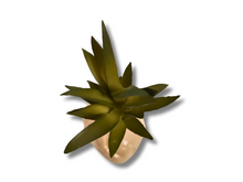 Cargar imagen en el visor de la galería, Planta Suculenta de decoración para terrarios - ReptilHábitat