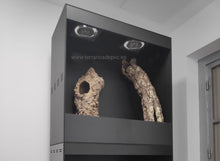 Cargar imagen en el visor de la galería, Batería 2 de 100x50x50