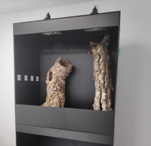 Cargar imagen en el visor de la galería, Batería 2 de 100x50x50