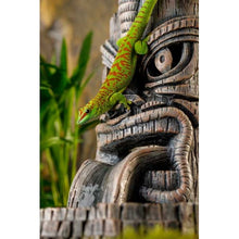 Cargar imagen en el visor de la galería, Cascada TIKI Exo-Terra (6748940828871)